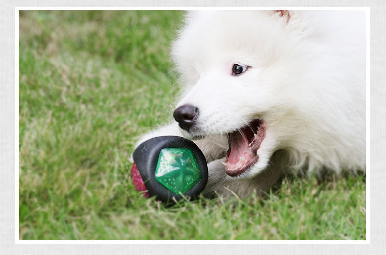 Dog toy ball